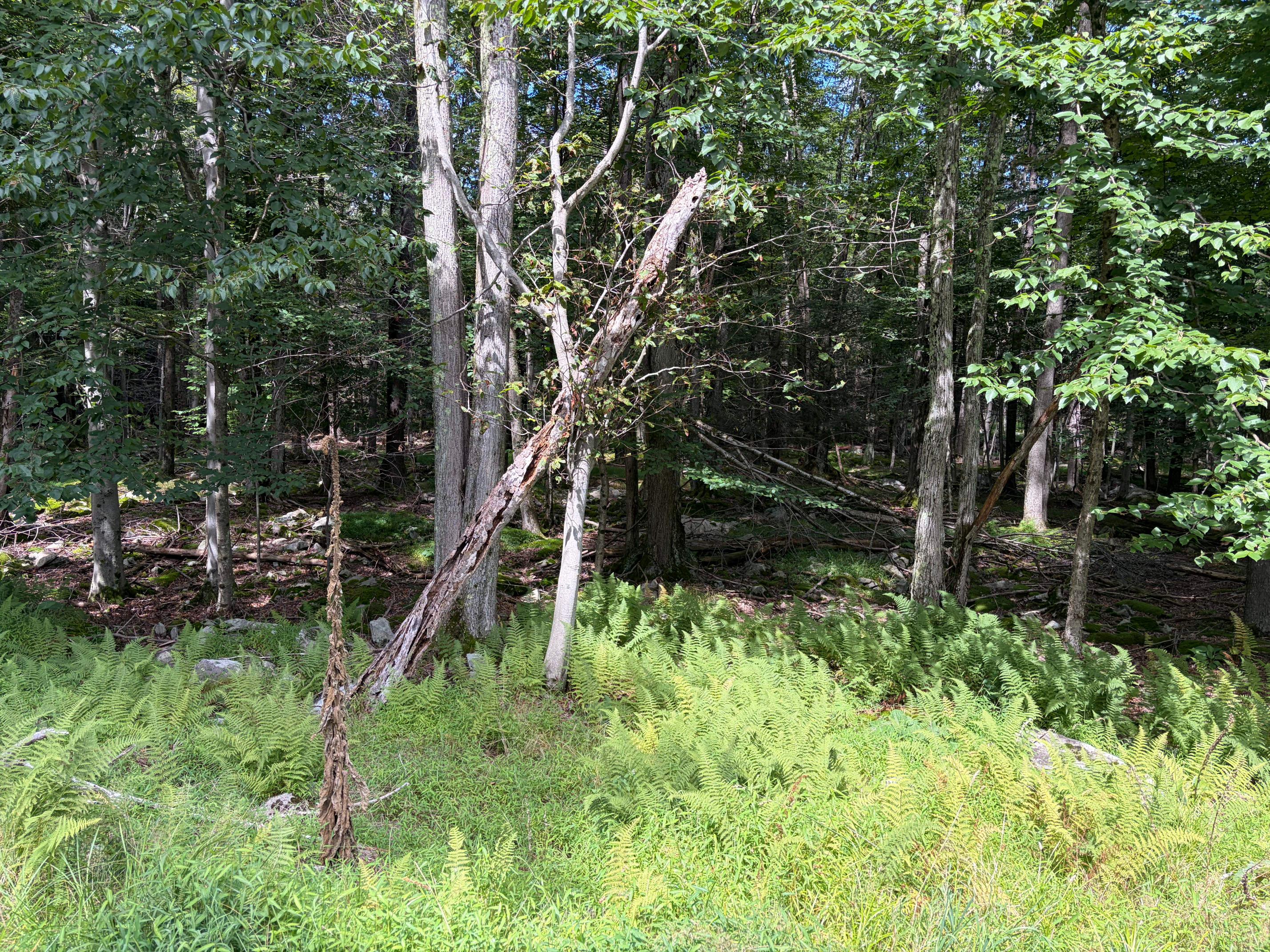 View of the property