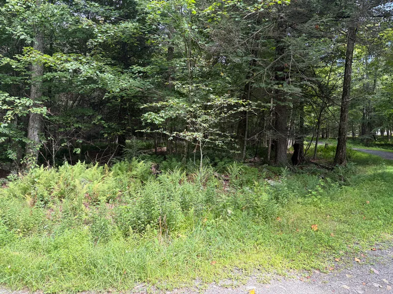View of the property