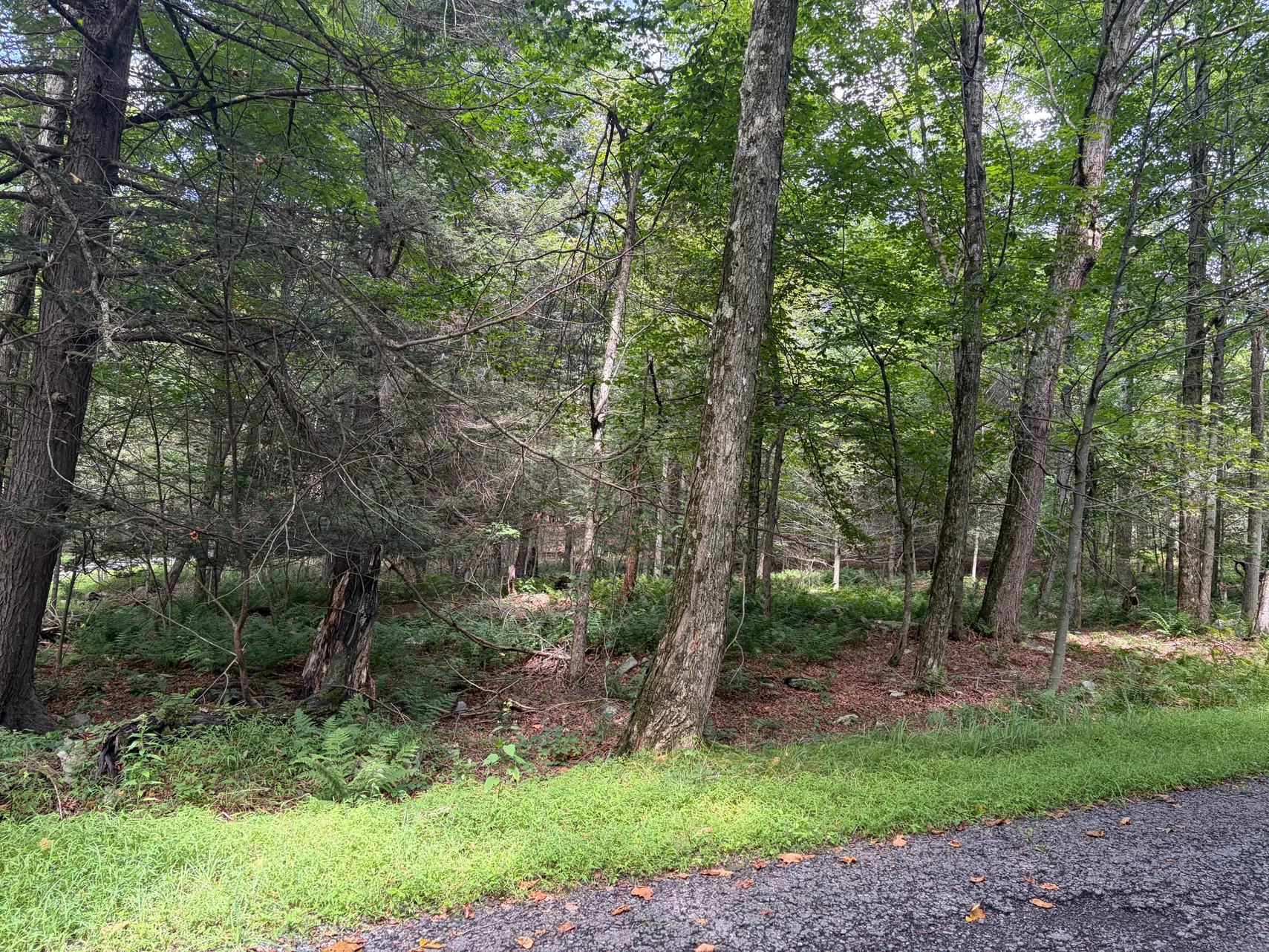 Property view