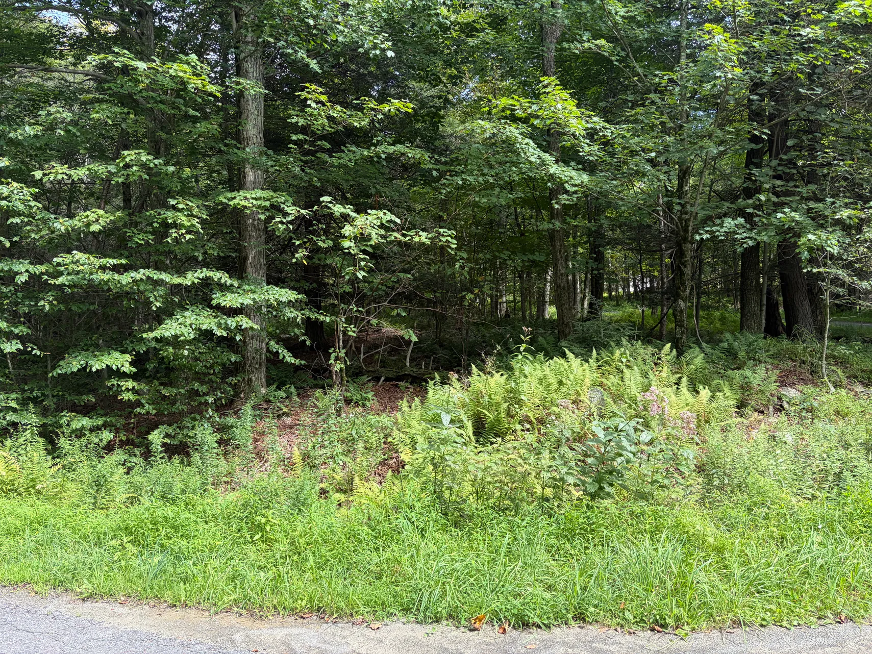 Property view