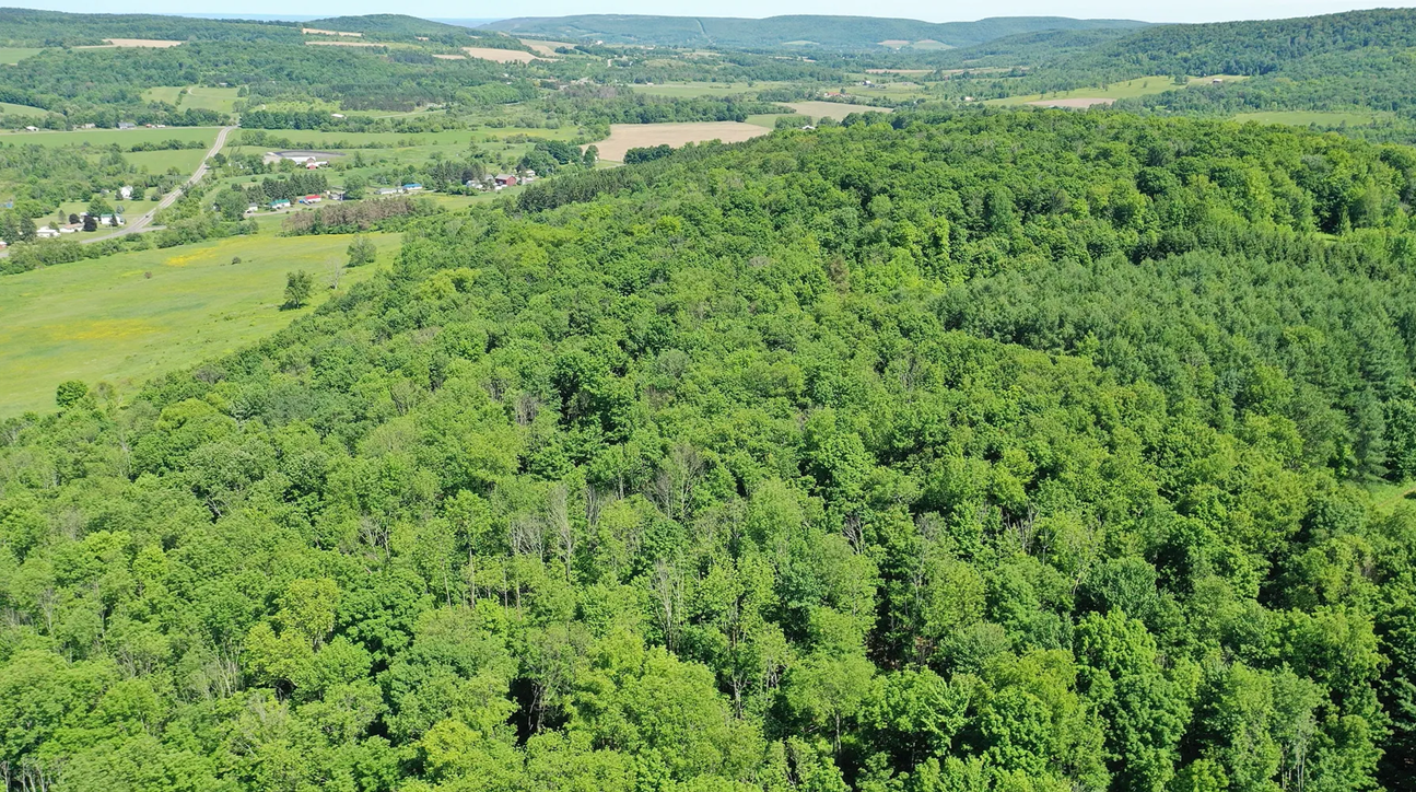 View of the property